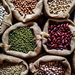 Legumes